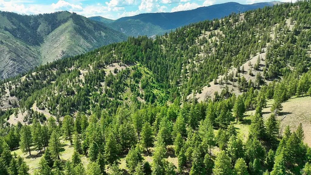 Nhn Switchback Ranch Alberton MT 59820