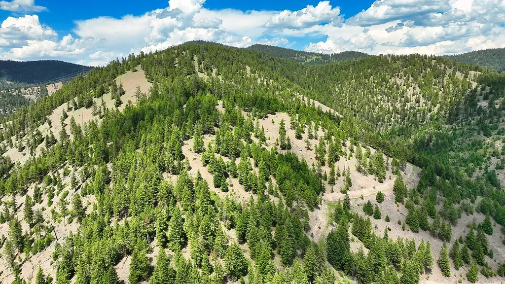 Nhn Switchback Ranch Alberton MT 59820
