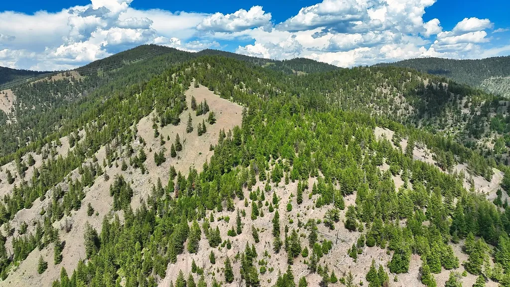 Nhn Switchback Ranch Alberton MT 59820