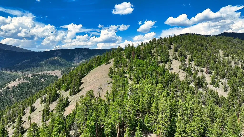 Nhn Switchback Ranch Alberton MT 59820