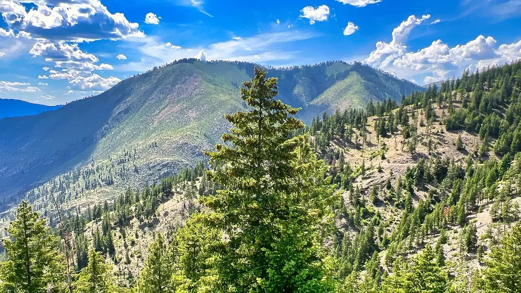 Nhn Switchback Ranch Alberton MT 59820