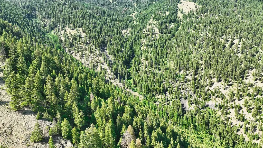 Nhn Switchback Ranch Alberton MT 59820