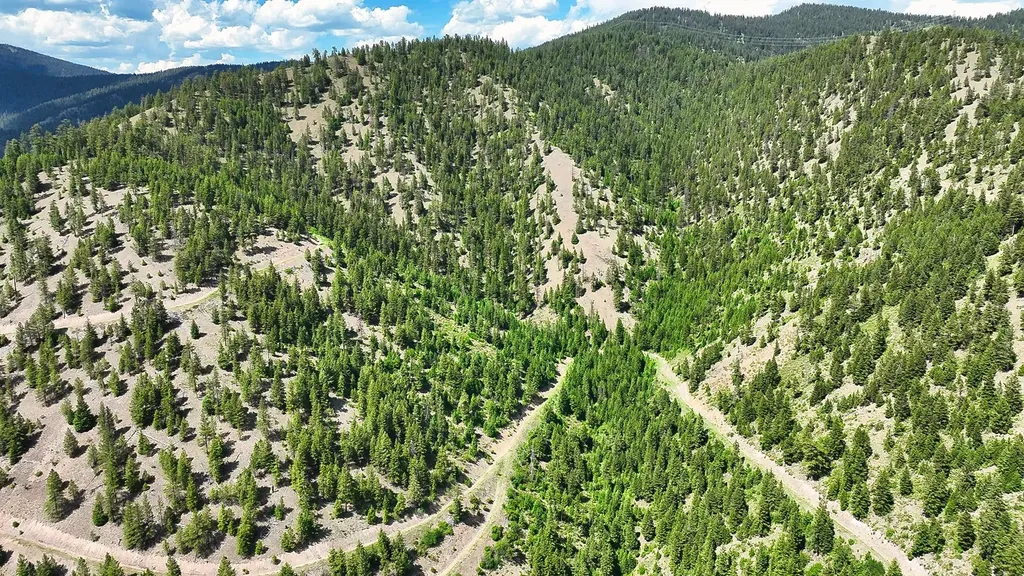 Nhn Switchback Ranch Alberton MT 59820