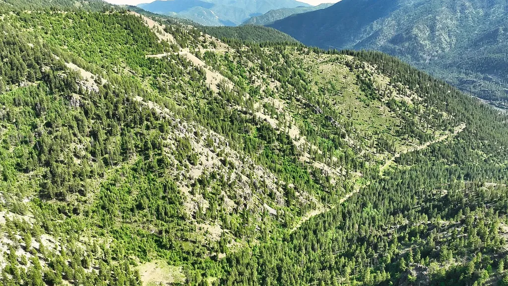 Nhn Switchback Ranch Alberton MT 59820