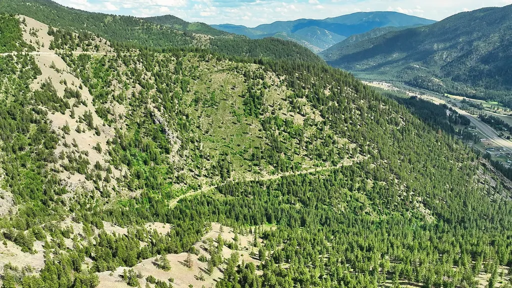 Nhn Switchback Ranch Alberton MT 59820