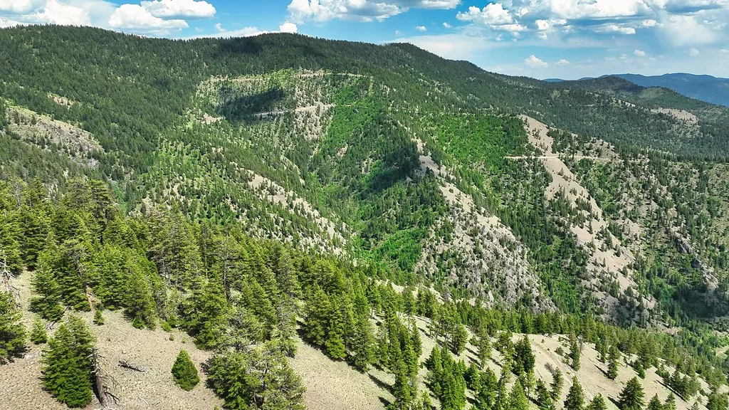 Nhn Switchback Ranch Alberton MT 59820