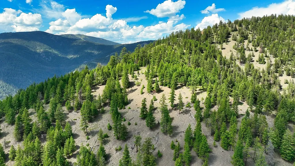 Nhn Switchback Ranch Alberton MT 59820