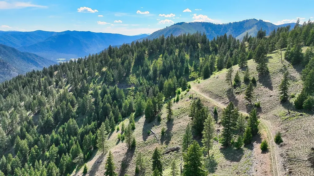 Nhn Switchback Ranch Alberton MT 59820