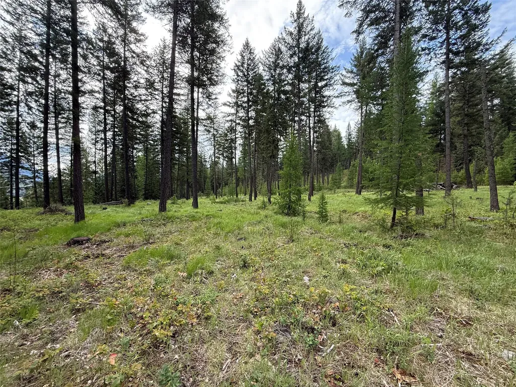 Parcel A Kootenai Drive Troy MT 59935