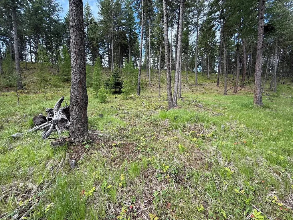 Parcel A Kootenai Drive Troy MT 59935