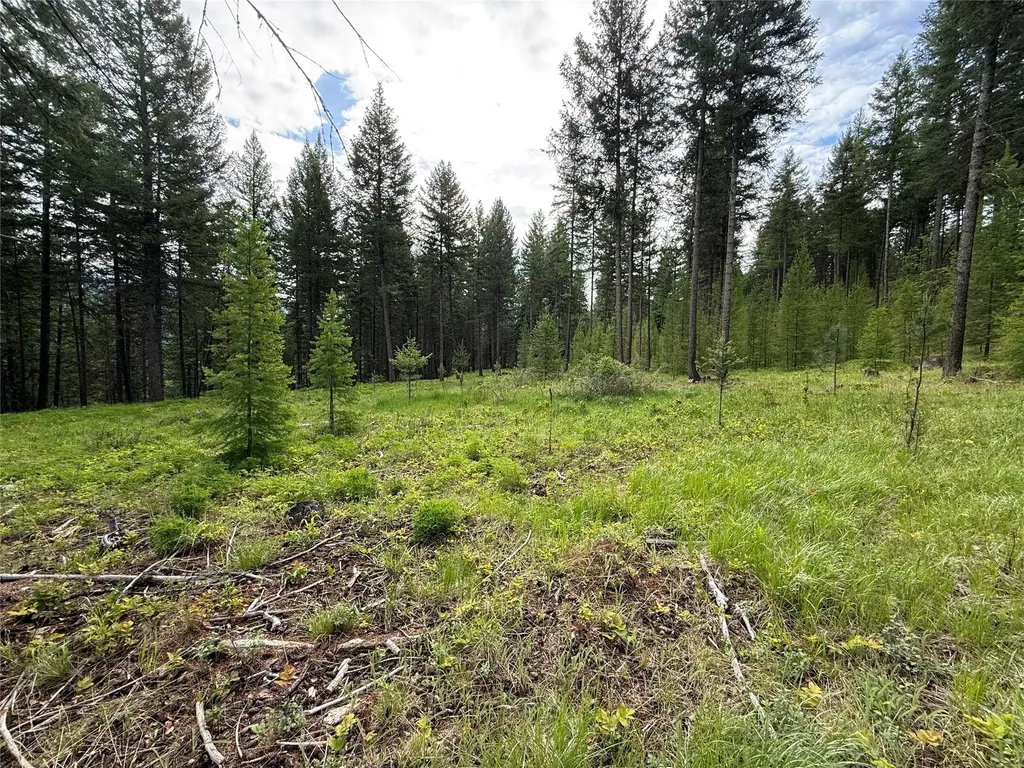 Parcel A Kootenai Drive Troy MT 59935