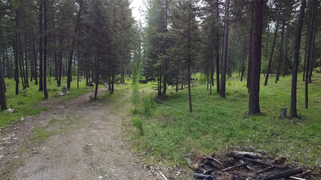 Parcel A Kootenai Drive Troy MT 59935