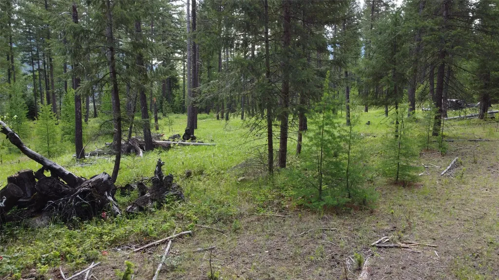 Parcel A Kootenai Drive Troy MT 59935