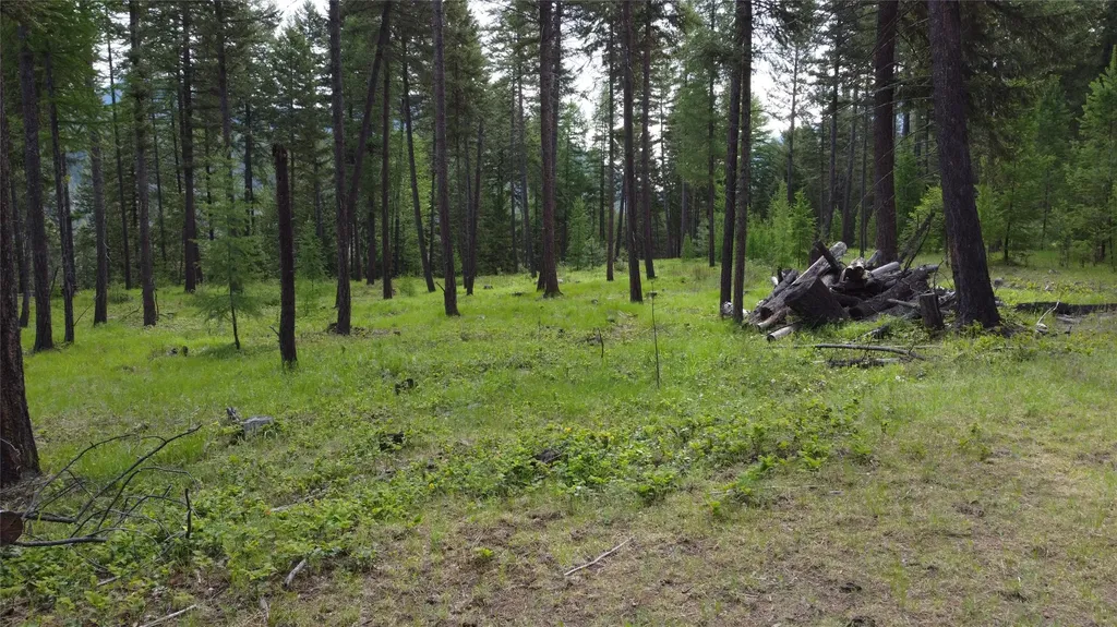Parcel A Kootenai Drive Troy MT 59935
