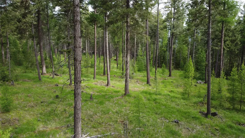 Parcel A Kootenai Drive Troy MT 59935