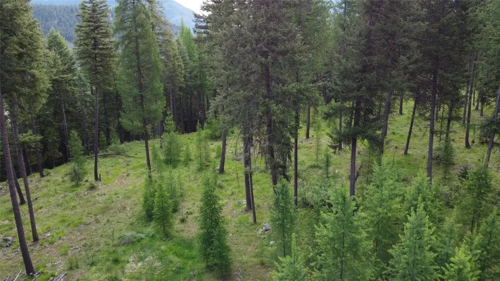 Parcel A Kootenai Drive Troy MT 59935
