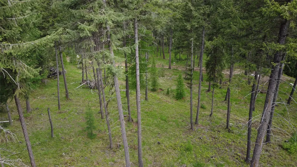 Parcel A Kootenai Drive Troy MT 59935