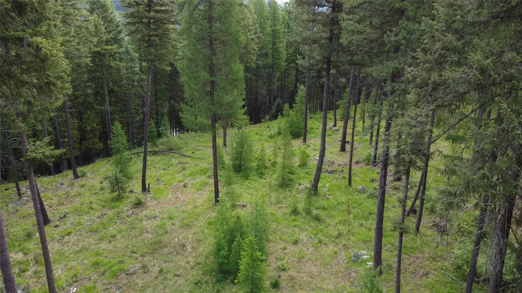 Parcel A Kootenai Drive Troy MT 59935