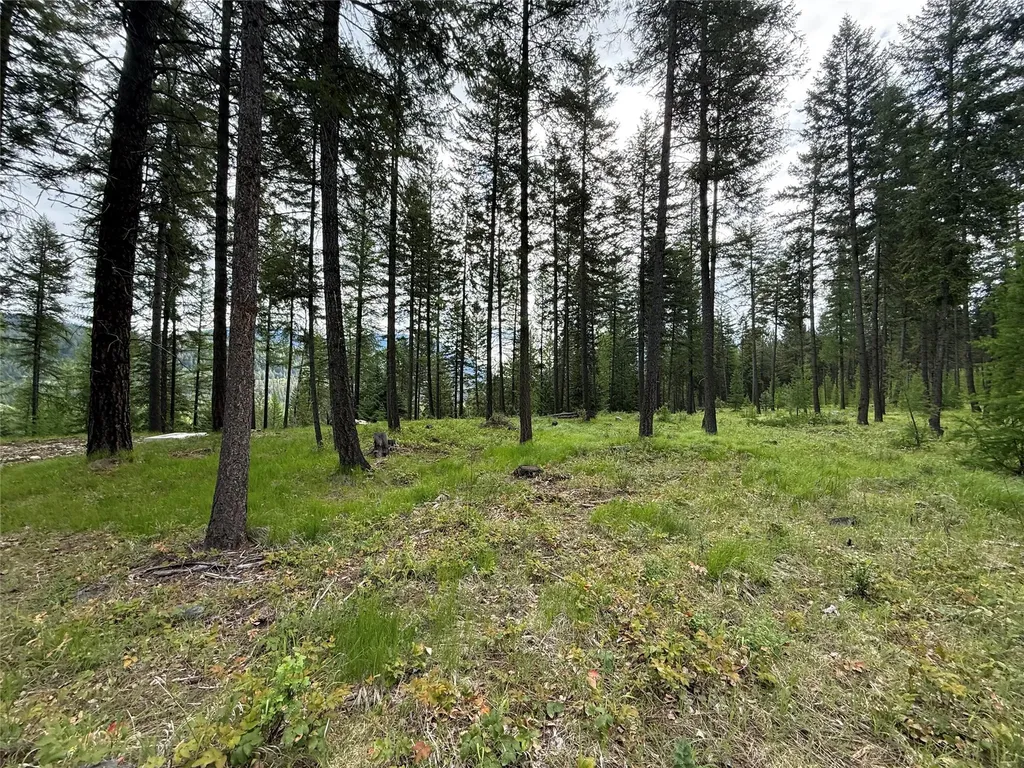 Parcel A Kootenai Drive Troy MT 59935