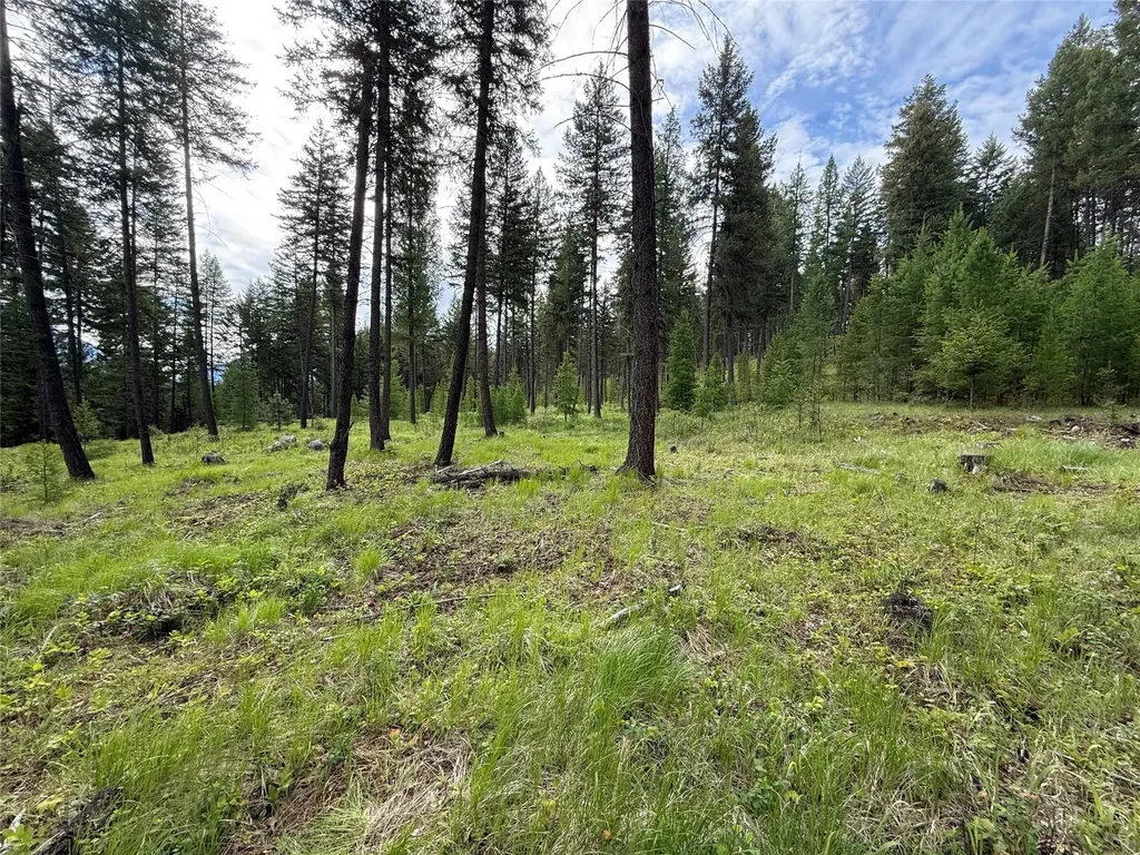 Parcel A Kootenai Drive Troy MT 59935