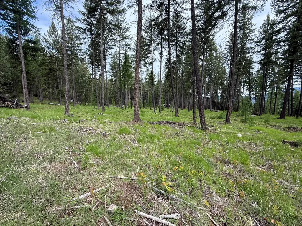 Parcel A Kootenai Drive Troy MT 59935