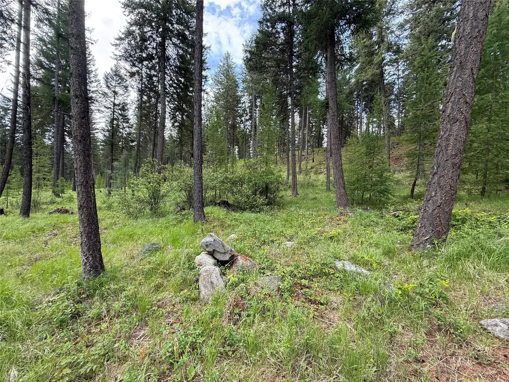 Parcel A Kootenai Drive Troy MT 59935