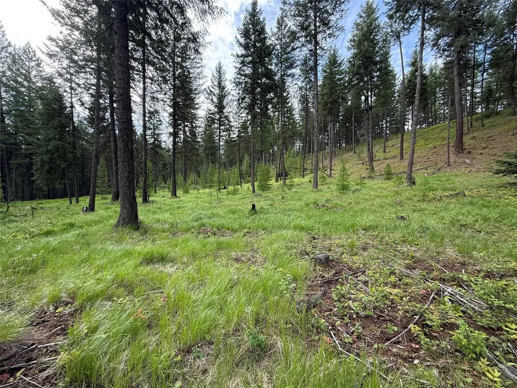 Parcel A Kootenai Drive Troy MT 59935