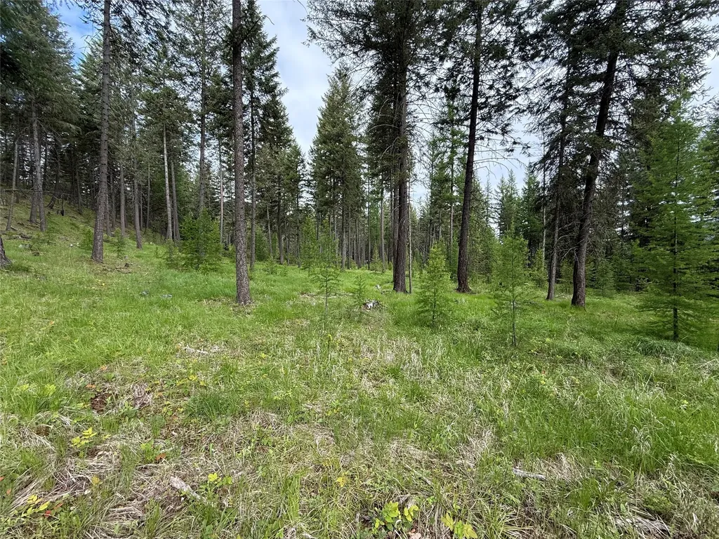 Parcel A Kootenai Drive Troy MT 59935