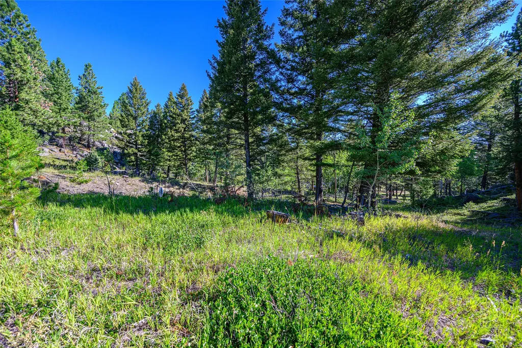 Tract A1 Hills Brothers Road Clancy MT 59634