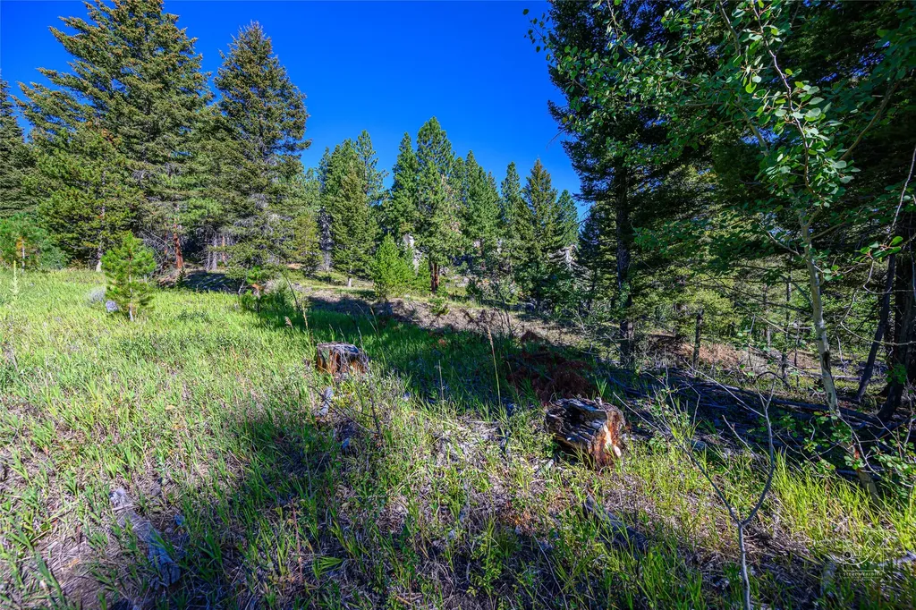 Tract A1 Hills Brothers Road Clancy MT 59634