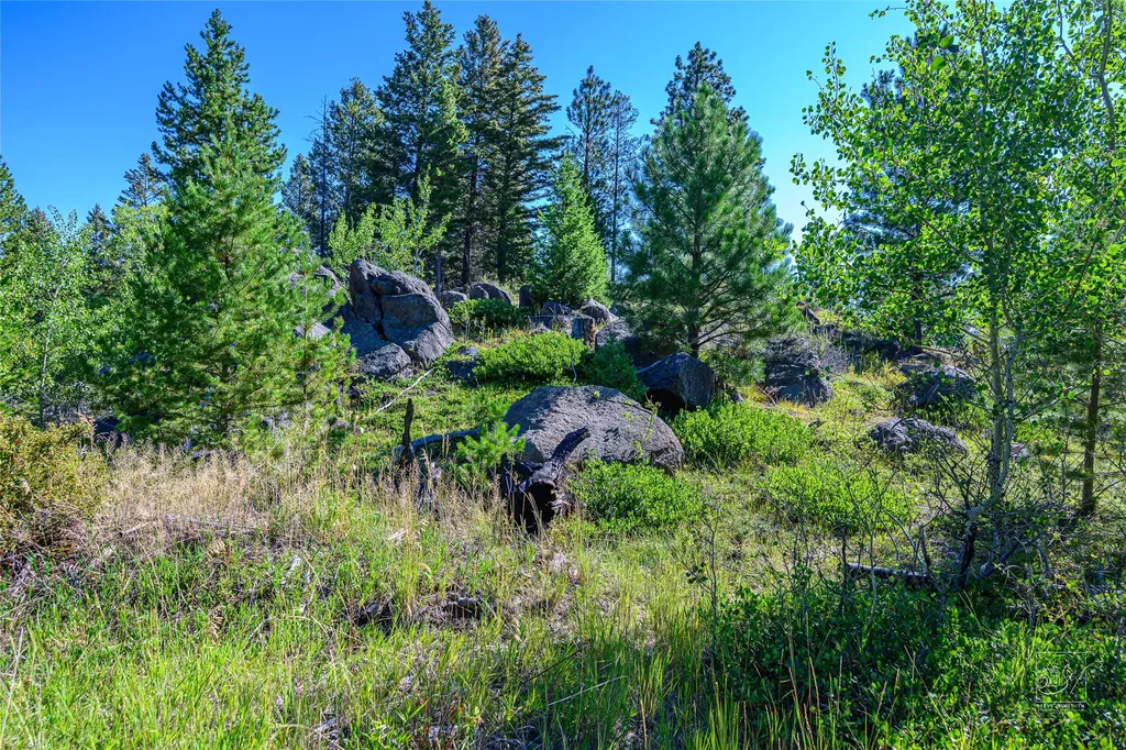 Tract A1 Hills Brothers Road Clancy MT 59634