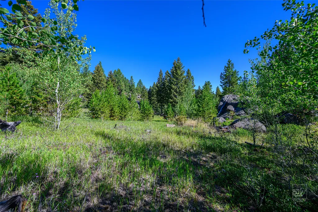 Tract A1 Hills Brothers Road Clancy MT 59634