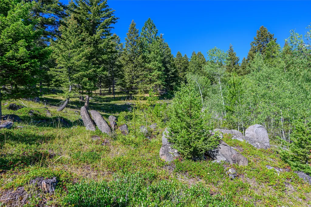 Tract A1 Hills Brothers Road Clancy MT 59634