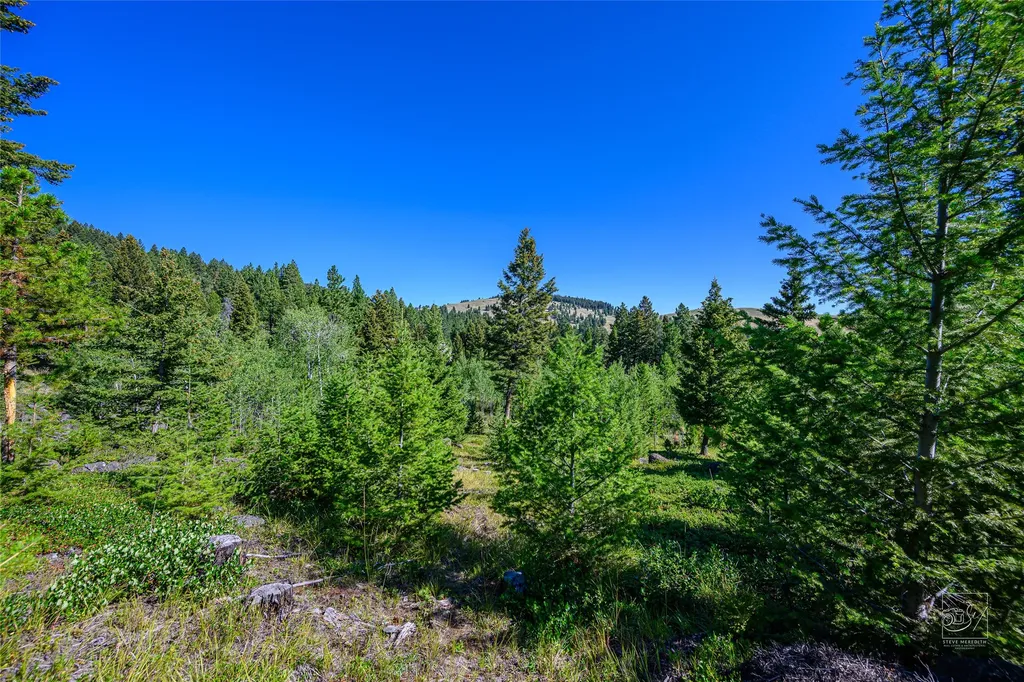Tract A1 Hills Brothers Road Clancy MT 59634