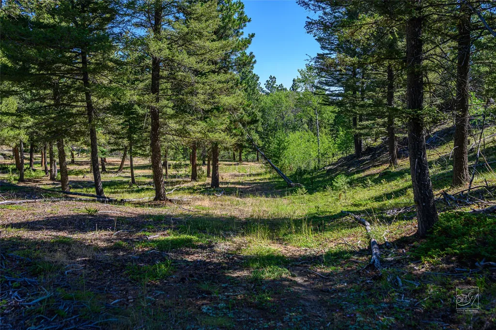 Tract A1 Hills Brothers Road Clancy MT 59634