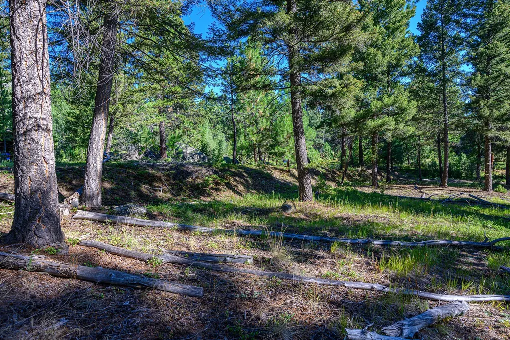 Tract A1 Hills Brothers Road Clancy MT 59634