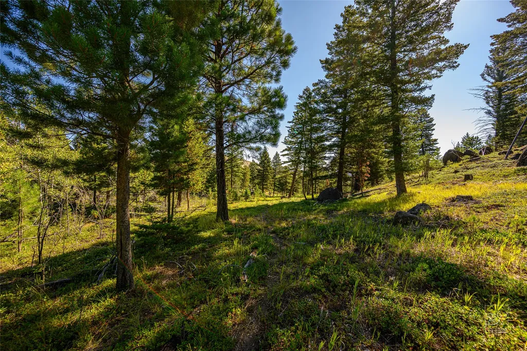 Tract A1 Hills Brothers Road Clancy MT 59634
