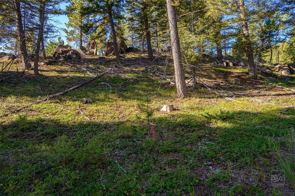 Tract A1 Hills Brothers Road Clancy MT 59634