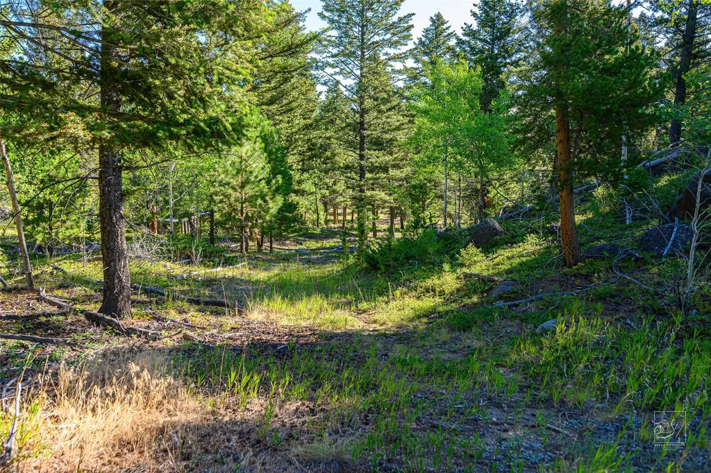 Tract A1 Hills Brothers Road Clancy MT 59634