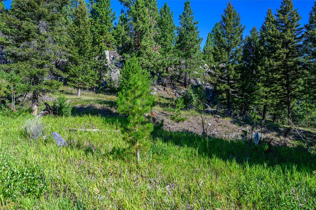 Tract A1 Hills Brothers Road Clancy MT 59634