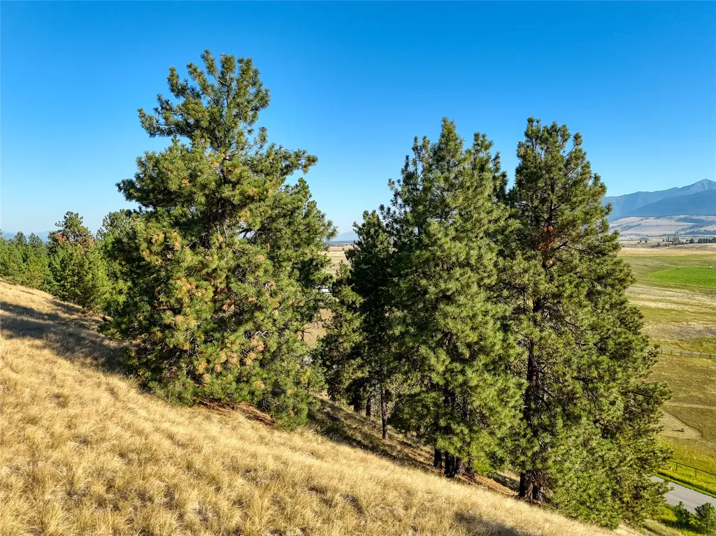 1151 Lindsay Road Eureka MT 59917