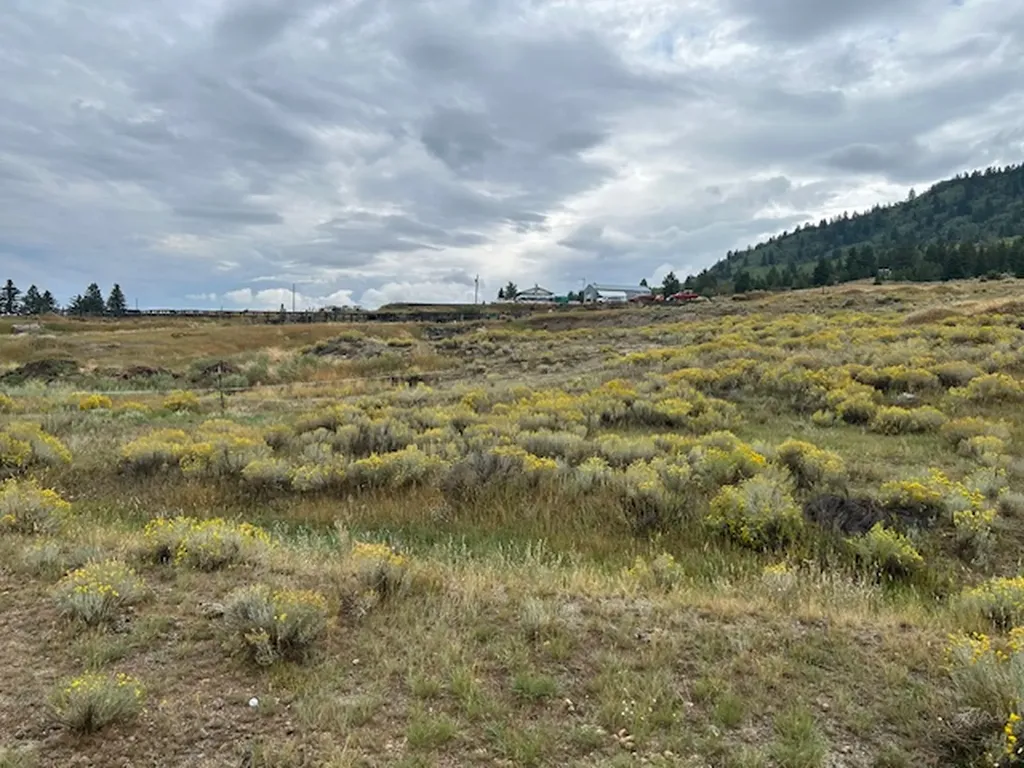 Lot 5 Echo Industrial Park Butte MT 59701