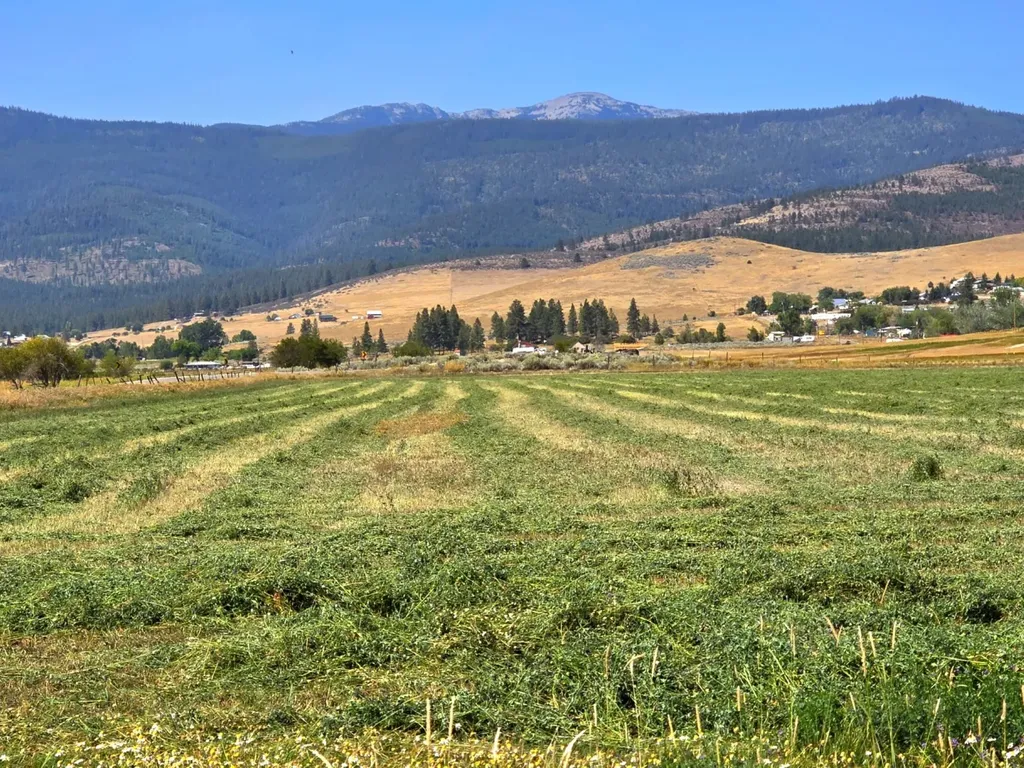 Tract 1b Of Cos 3917 Ekblad Road Hot Springs MT 59845