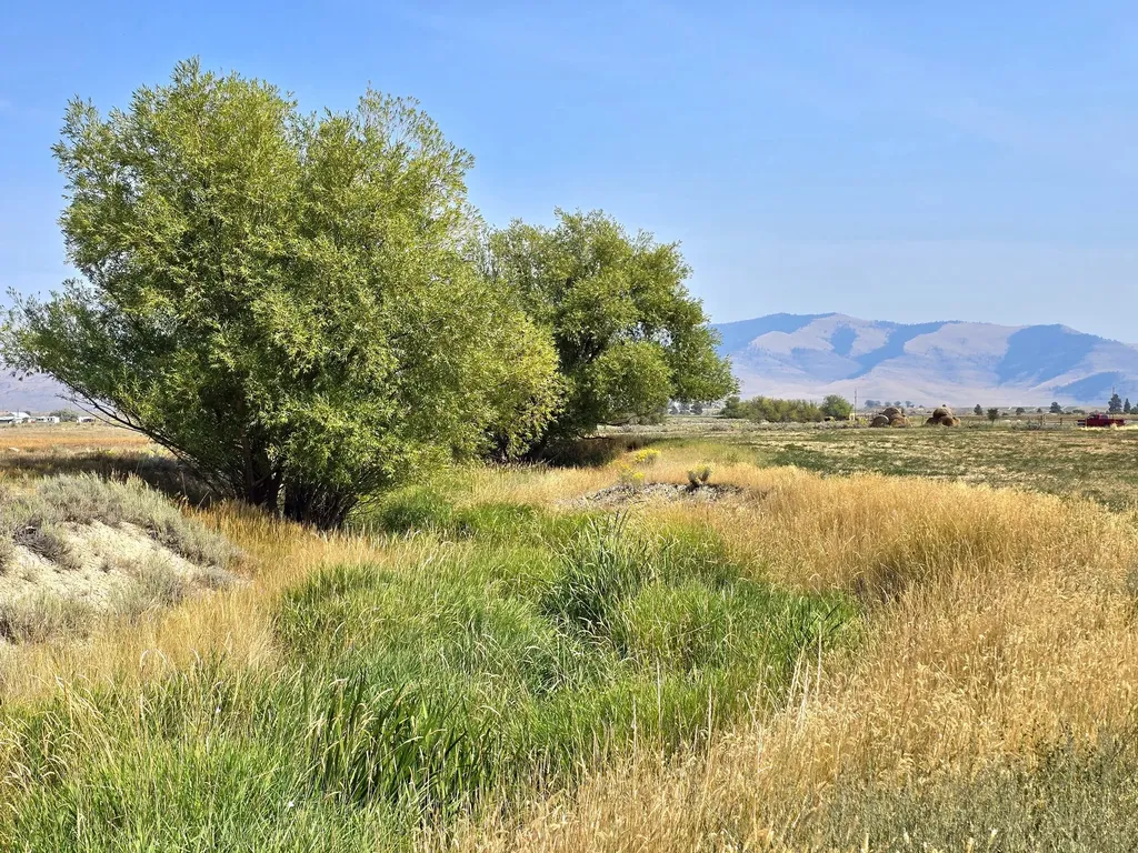 Tract 1b Of Cos 3917 Ekblad Road Hot Springs MT 59845
