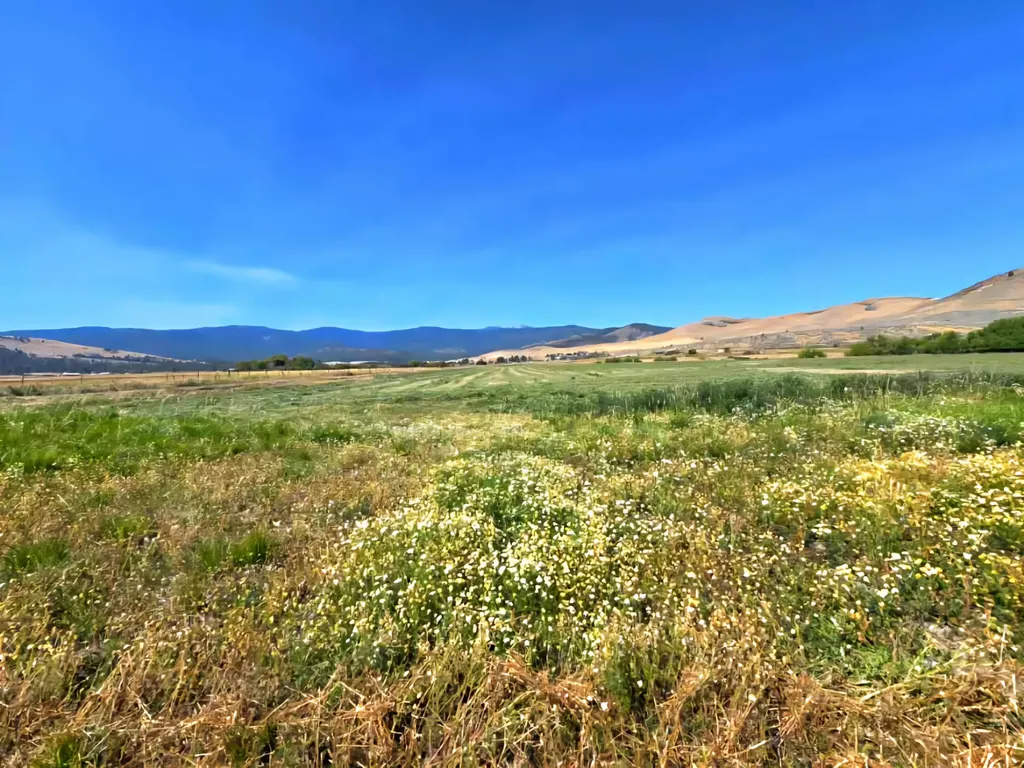 Tract 1b Of Cos 3917 Ekblad Road Hot Springs MT 59845