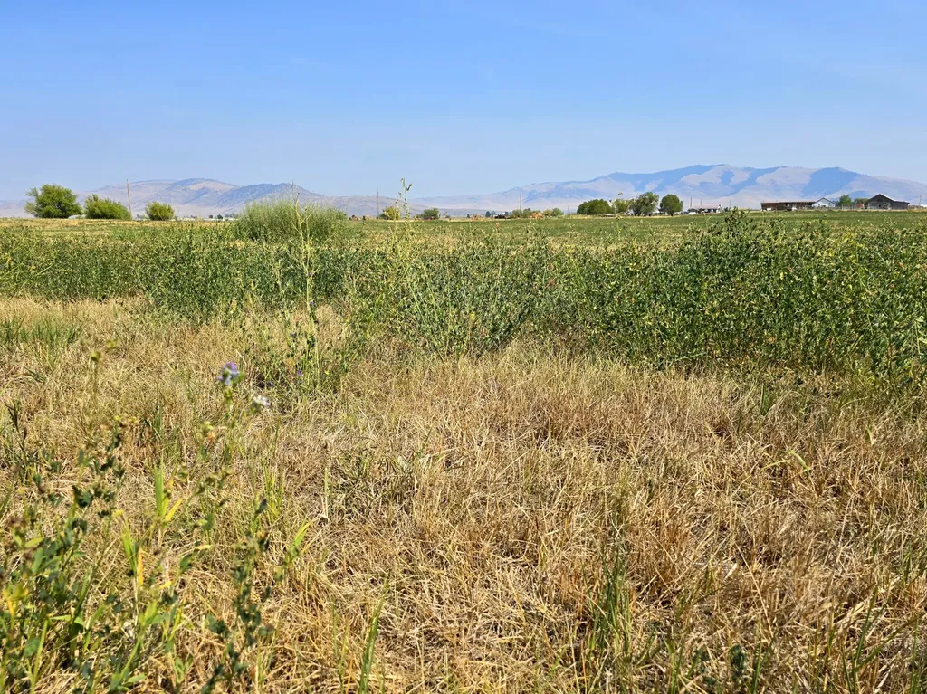 Tract 1b Of Cos 3917 Ekblad Road Hot Springs MT 59845