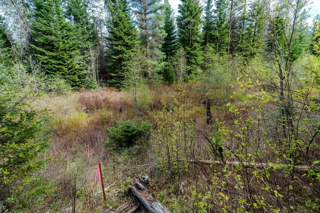 70 Hines Road Yaak MT 59935