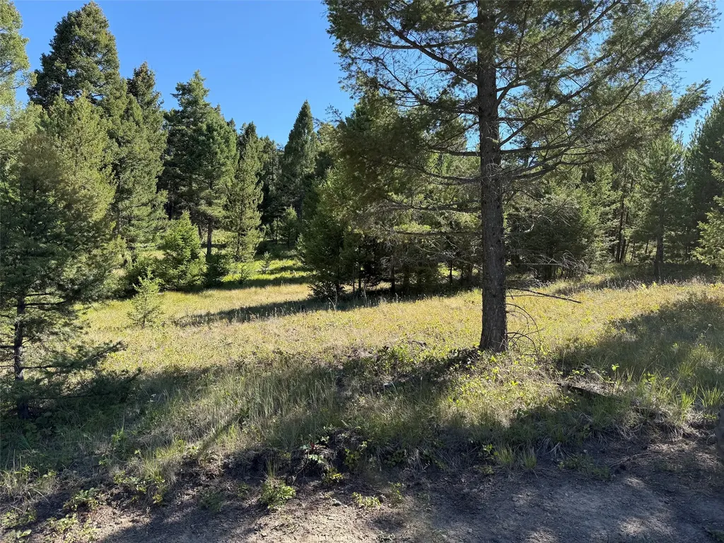 Tbd A&b Chimney Lakes Road Helmville MT 59843