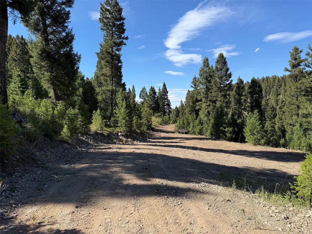 Tbd A&b Chimney Lakes Road Helmville MT 59843
