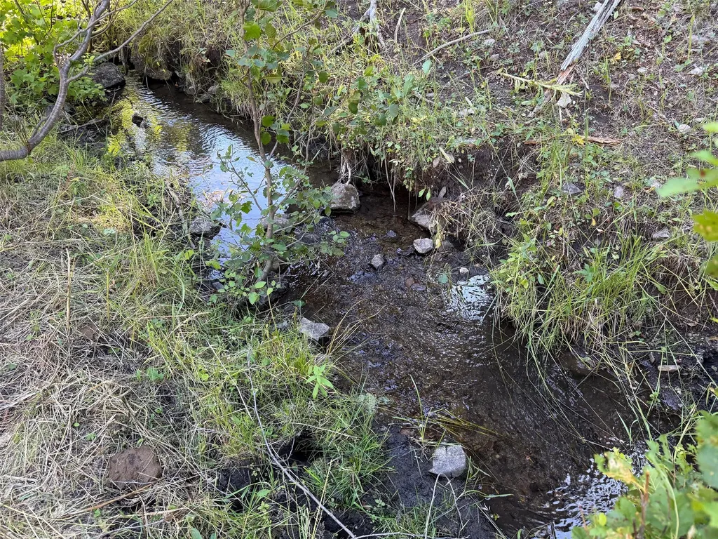 Tbd A&b Chimney Lakes Road Helmville MT 59843